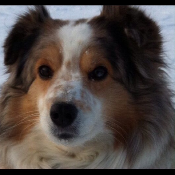 Meet your Posher, Rebecca - Picture 6 of 14